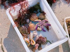 -青岛第三海水浴场