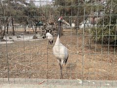 -保定市动物园