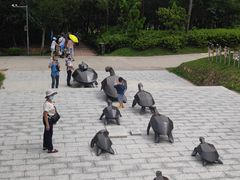 -广东惠东海龟国家级自然保护区