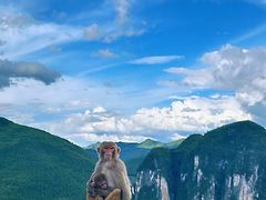 -重庆云阳龙缸景区