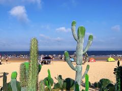 -巧克力渔家.小船海鲜胶东菜(万平口店)