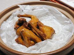经典盐焗鸽-大鸽饭(体育西路店)