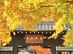 -常寂光寺