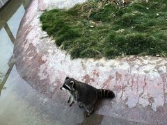 -泉州海丝野生动物世界