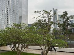 -深圳湾万象城