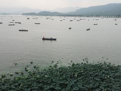 -湖畔居茶楼(湖滨店)
