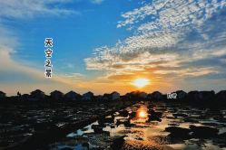 -水八仙生态园