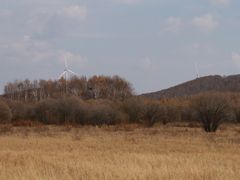 -塞罕坝国家级自然保护区