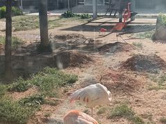 -太原动物园