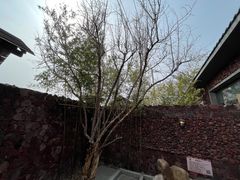 -北京益泉花园酒店
