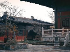 -广富林郊野公园