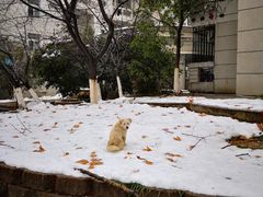 -南京工业大学-东苑1食堂