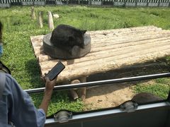 -西安秦岭野生动物园