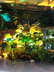 -恐龙探索乐园(磁器口店)