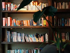 -房角石咖啡与书(吉大南校店)