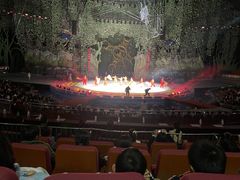 -灵玲国际马戏城