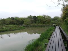 -西溪国家湿地公园