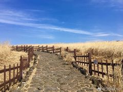 -龙头岩(Dragon Head Rock)