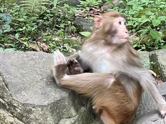 -十里画廊