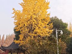 -郑和公园