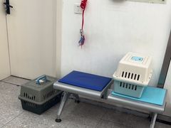 -四月宠物医院·猫专科·心脏专科·内科(转塘店)