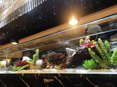 -红辣椒·川菜·火锅(张杨路店)