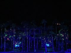 -三亚红色娘子军演艺公园景区