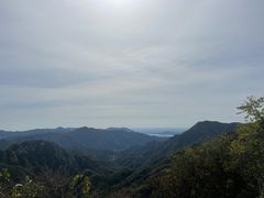-大岭沟猕猴桃谷风景区