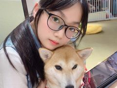 -逗柴咖啡屋·狗咖猫咖宠物桌游