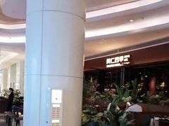 -同仁四季椰子鸡(宝安壹方城店)