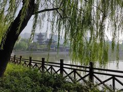 -迎泽公园