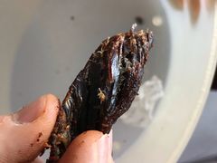 -都士牧人现烤牛肉干