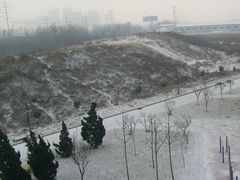 -山东外贸职业学院