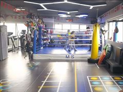 -M.S拳击泰拳馆(大学路店)
