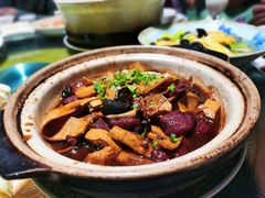 豆腐肥肠煲-漫渡庄绿岛花园•隐世庭园菜(滨湖店)
