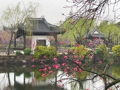 -无锡蠡湖国家湿地公园-蠡园