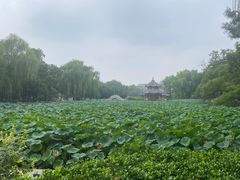 -莲池书院博物馆