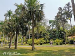 -中国科学院西双版纳热带植物园