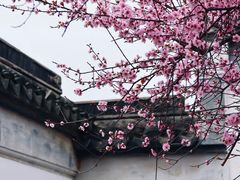 -八大山人梅湖景区