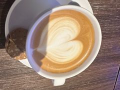 -bluefrog蓝蛙(石家庄欢乐汇店)