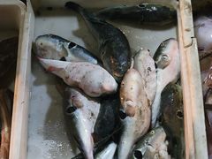 -登州市场(登州路店)