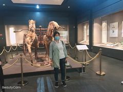 -平顶山博物馆