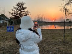 -合肥滨湖国家森林公园