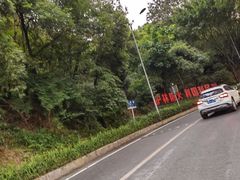 -铁山坪森林公园