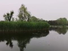 -大兴滨河森林公园