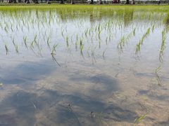 -迪茵湖田家舍生态农场