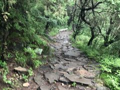 -阳台山自然风景区