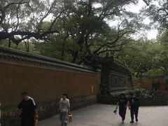 -普陀山风景名胜区-法雨禅寺