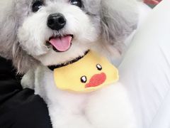 -熊小胖宠物生活馆(天华园店)
