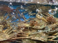 -蟹之国·精品蟹料理(极地店)